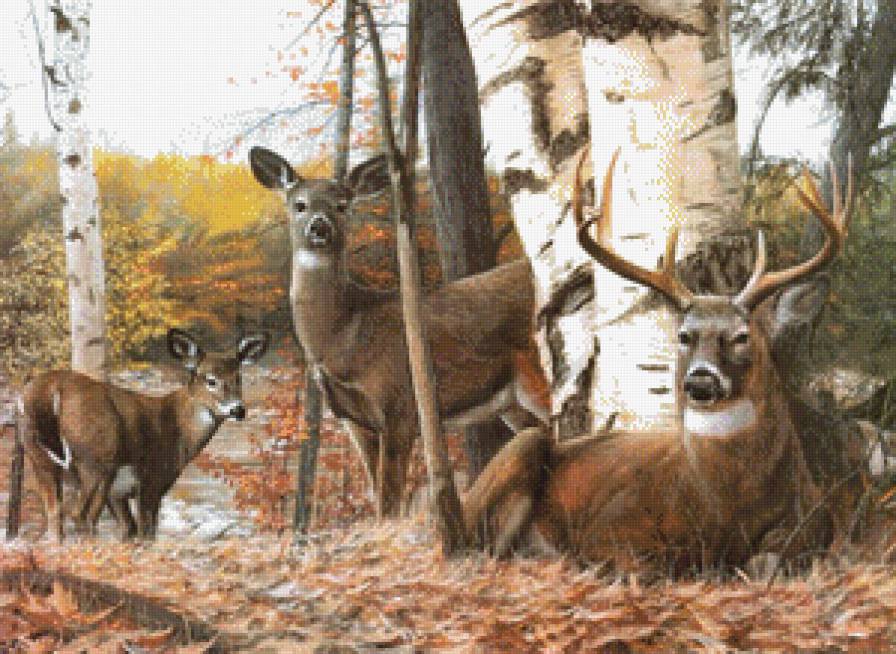 Олени - животные, лес, олени, картина - предпросмотр