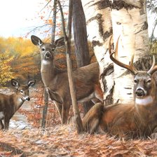 Схема вышивки «Олени»