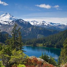 Схема вышивки «природа»