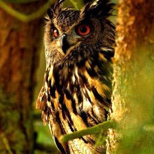 Схема вышивки «№927447»