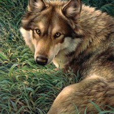 Схема вышивки «№927471»