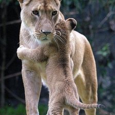 Схема вышивки «Мамина любовь»