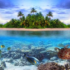 Схема вышивки «Остров»