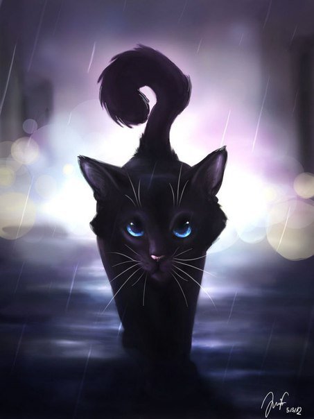 Черный котик - кот, ночь, дождь - оригинал