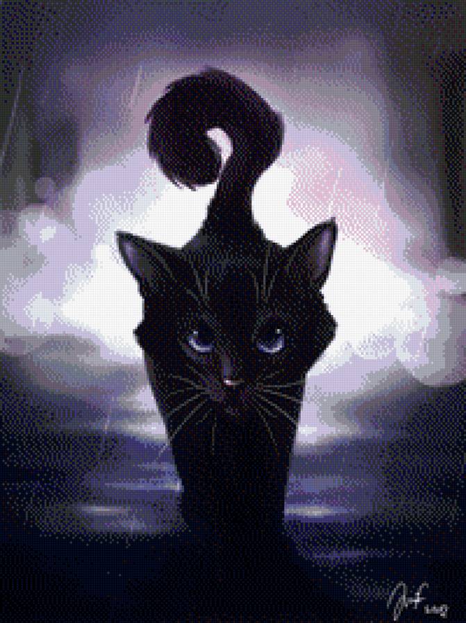 Черный котик - ночь, дождь, кот - предпросмотр