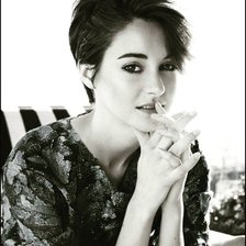 Схема вышивки «Шайлин Вудли»