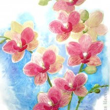 Схема вышивки «орхидеи»