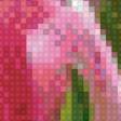 Предпросмотр схемы вышивки «тюльпаны» (№928259)