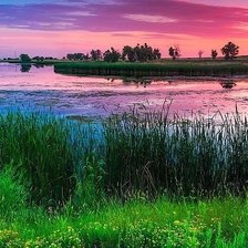 Схема вышивки «розовый  закат»