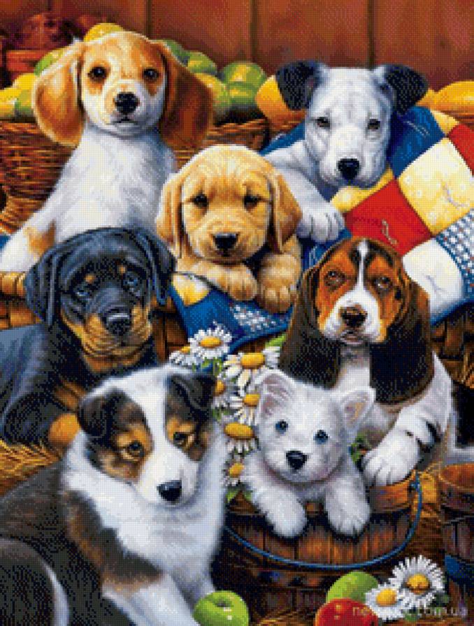 компания - порода, собака - предпросмотр