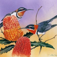 Схема вышивки «птицы на ветке»