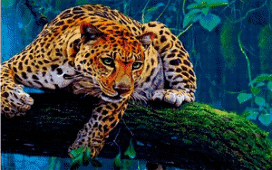 Лео - леопард, киса, кошка, дикая кошка - предпросмотр