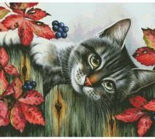 Схема вышивки «Котик»