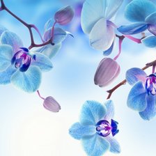 Схема вышивки «№928644»