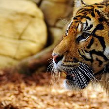 Схема вышивки «№928656»