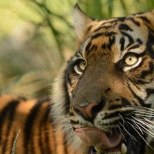 Схема вышивки «№928659»