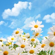 Схема вышивки «№928664»