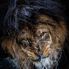 Схема вышивки «Король»