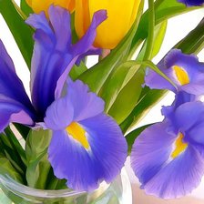 Схема вышивки «№928687»