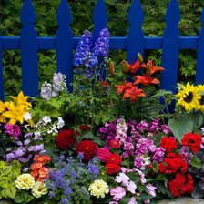 Схема вышивки «№928690»