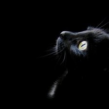 Схема вышивки «№928712»