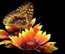 Схема вышивки «№928722»