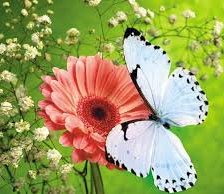 Схема вышивки «№928723»