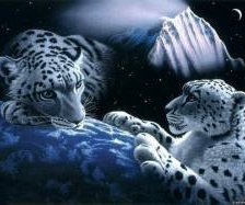 Схема вышивки «№928724»