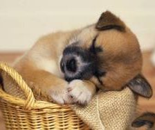 Схема вышивки «№928739»