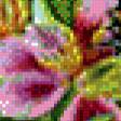 Предпросмотр схемы вышивки «бабочки в цветах» (№928747)