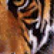 Предпросмотр схемы вышивки «тигруля» (№928942)