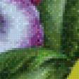 Предпросмотр схемы вышивки «виолы» (№928958)