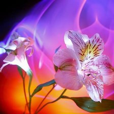 Схема вышивки «сияние»