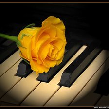 Схема вышивки «роза»