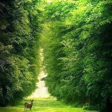 Схема вышивки «лес»