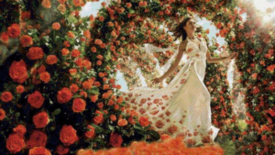 королева роз - розы, девушка - предпросмотр