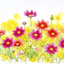 Схема вышивки «№929145»