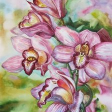 Схема вышивки «Орхидеи»