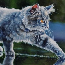 Схема вышивки «Лунный кот»