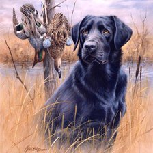 Схема вышивки «собака»