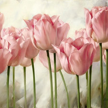 Схема вышивки «тюльпаны»