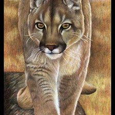 Схема вышивки «пума»