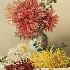 Схема вышивки «хризантемы»