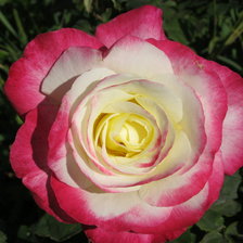 Схема вышивки «№929725»