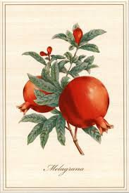 anar jims - оригинал