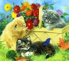 Схема вышивки «котята»