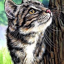 Схема вышивки «Кошечка»