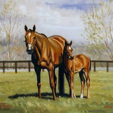 Схема вышивки «лошадь с жеребёнком»