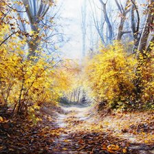 Схема вышивки «золотая осень в парке»