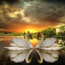 Схема вышивки «лебеди»